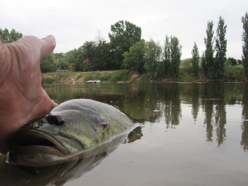 Bonnievale River Lodge Dış mekan fotoğraf