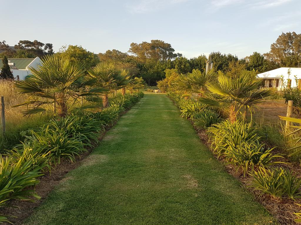 Bonnievale River Lodge Dış mekan fotoğraf