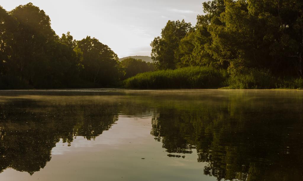 Bonnievale River Lodge Dış mekan fotoğraf